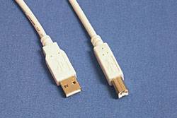APC 15' USB A-B